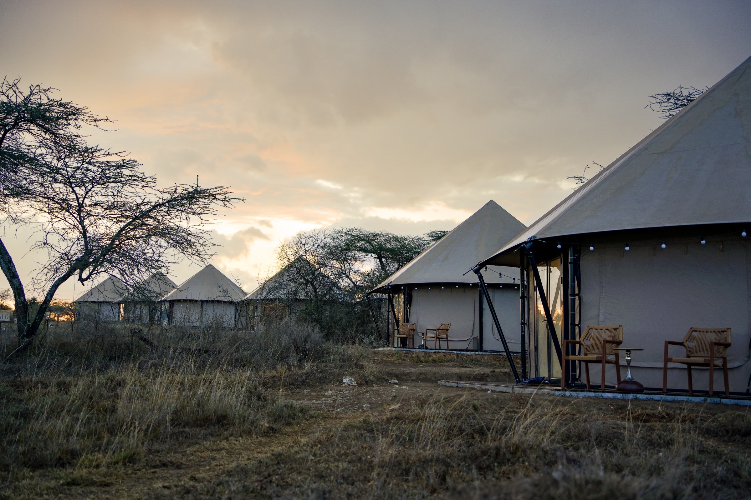 Ndutu tent accommodation